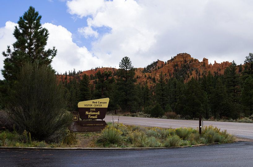 Dixie National Forest  von Jeroen Götz