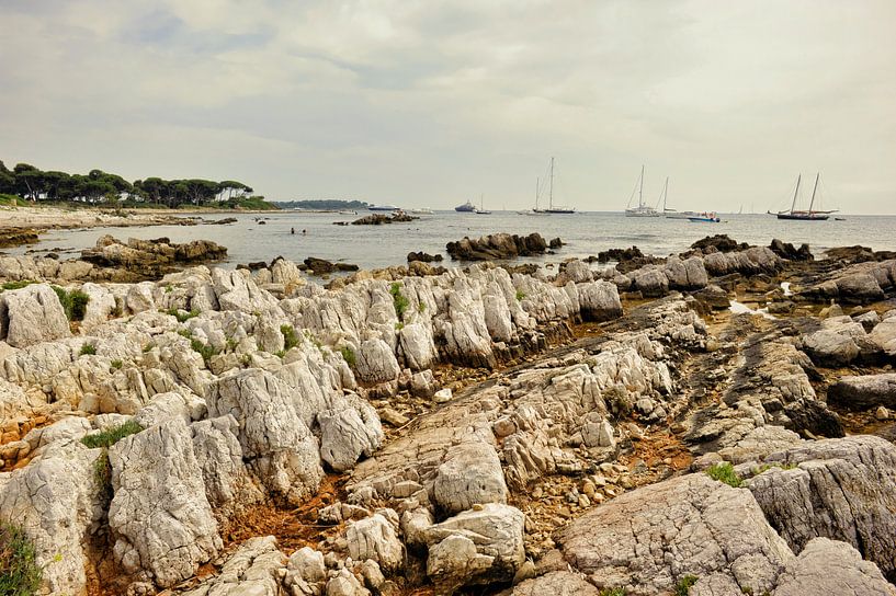 Littoral rocheux par Martine Affre Eisenlohr