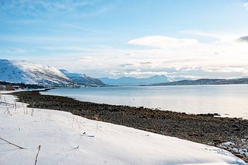 Winterliche Küste bei Tromso von Leo Schindzielorz