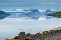 Uitzicht op de westfjorden van IJsland par Menno Schaefer Aperçu
