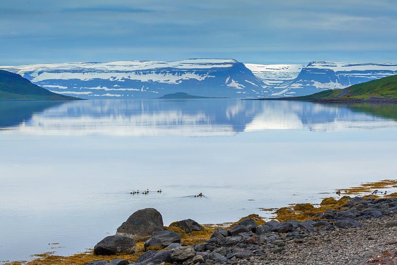 Uitzicht op de westfjorden van IJsland von Menno Schaefer