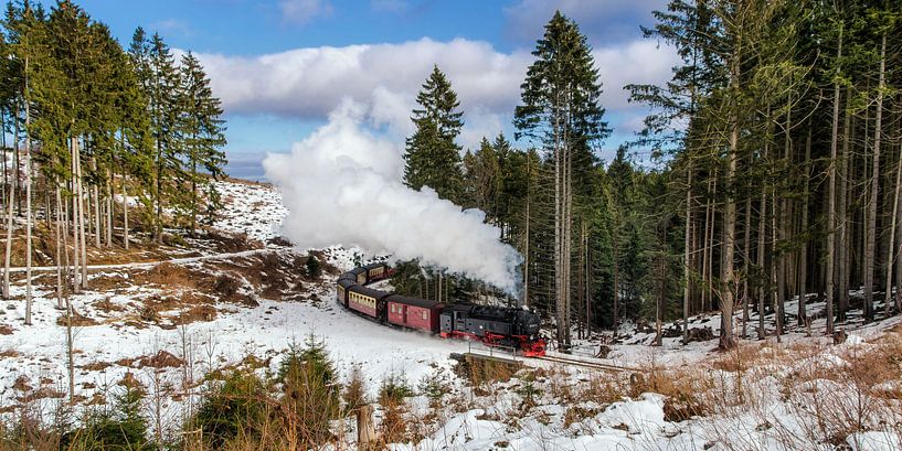 Brockenbahn par Steffen Gierok