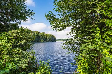 Uitzicht op het meer met bomen in Zarrentin am Schaalsee van Rico Ködder