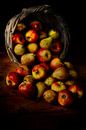 Appels en peren van Erik van Tienhoven van Weezel thumbnail