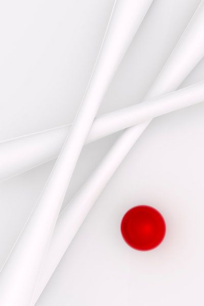 Bambou blanc par Jörg Hausmann