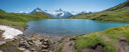 prachtig meer Bachalpsee, uitzicht op Berner Alpen met gletsjer, zwi