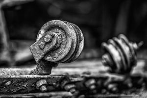 Stilleben einer Riemenscheibe in Schwarz-Weiß. (Industriefoto)