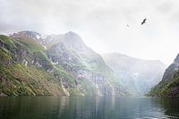 Naeroy fjord in de mist, Noorwegen