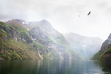 Naeroy fjord in de mist, Noorwegen van Dennis Claessens
