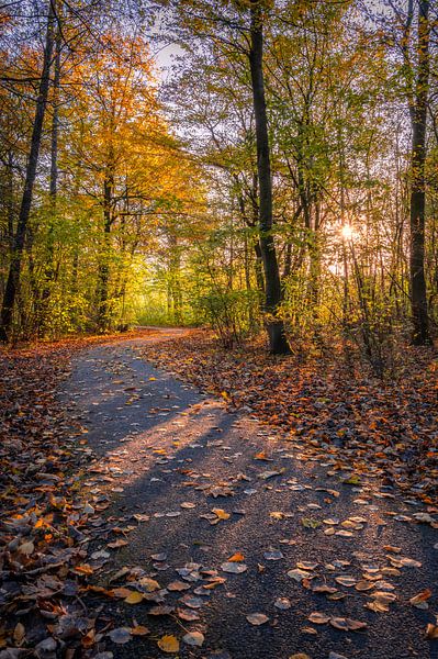 Herbst von Mark Bonnenberg