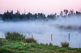 fog between the trees by natascha verbij