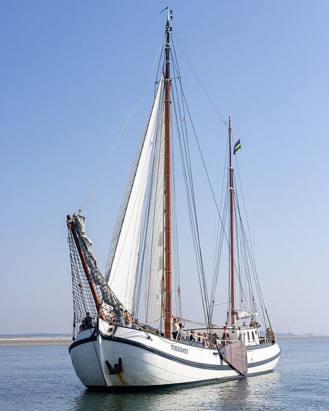 Segelschiff 'Future' von Edwin Kooren
