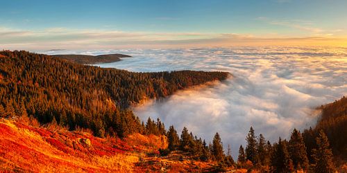 Sunrise over the sea of fog