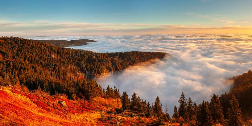 Sunrise over the sea of fog by Markus Lange