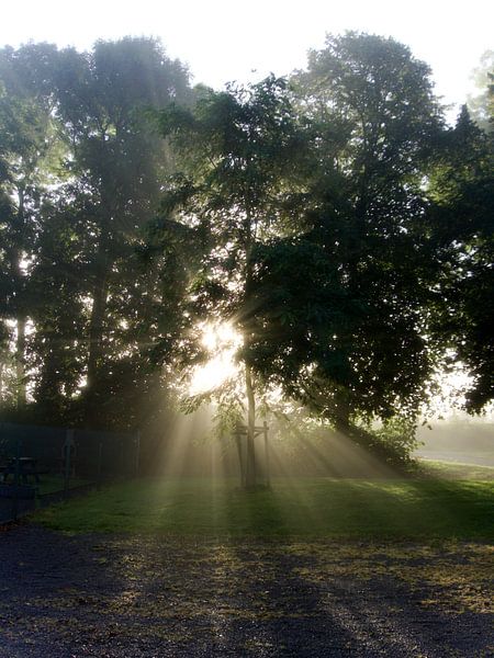 zonsopkomst in de herfst van joyce kool