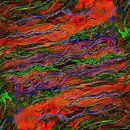 Alchemy 6 by Dorothy Berry-Lound thumbnail
