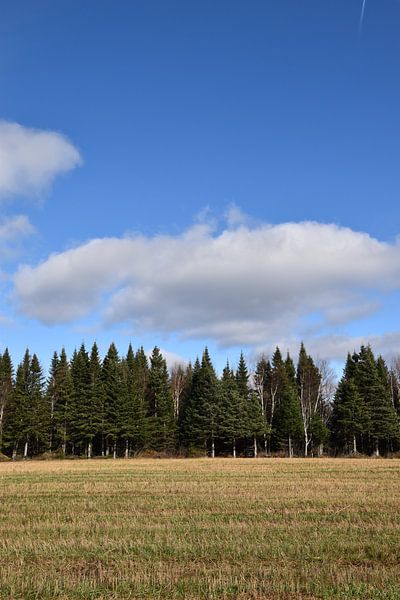 A field after the autumn harvest by Claude Laprise
