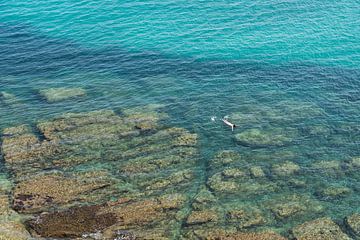 Zwemmen in helder, turkooisblauw zeewater van Adriana Mueller