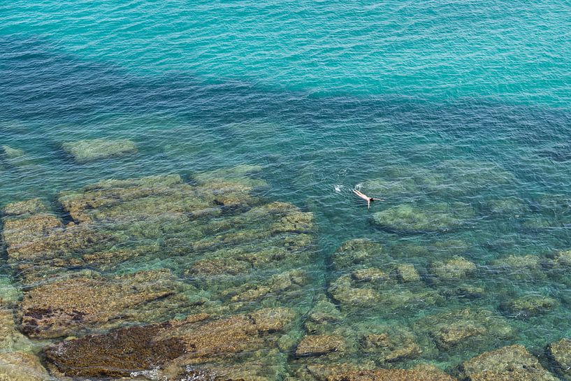 Im klaren, türkisblauen Meerwasser schwimmend von Adriana Mueller