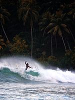 Paradiesische surfer