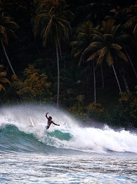 Paradiesische surfer von Ward Jonkman