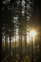 Evening sun on a sunny autumn day