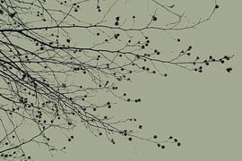 Zittend onder de boom Mosachtig groen van Monika Strigel