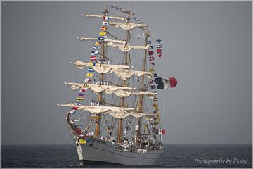 Sail Curaçao 2022 van Dubbel Dushi