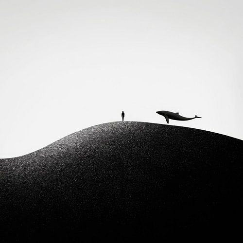 Man en walvis in de mist