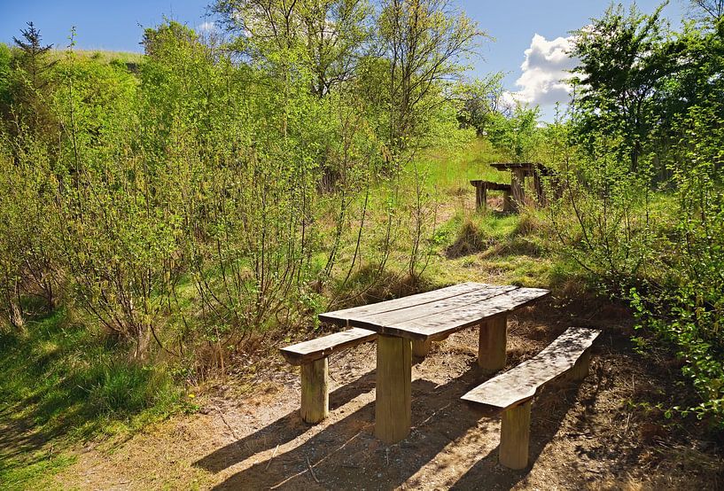 Table de pique-nique par Bo Valentino