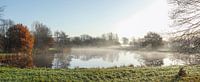 Herbststimmung mit Bodennebel an einem See, Fischerhude, Niedersachsen, Deutschland, europa von Torsten Krüger Miniaturansicht