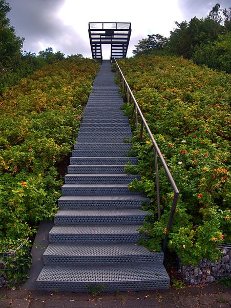 trap van Edgar Schermaul