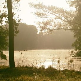 Op een mistige zonnige ochtend aan het water by Lonneke Klomp