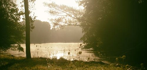 Op een mistige zonnige ochtend aan het water