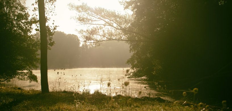 Op een mistige zonnige ochtend aan het water by Lonneke Klomp