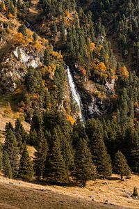 Wasserfall umgeben von Bäumen im Herbst