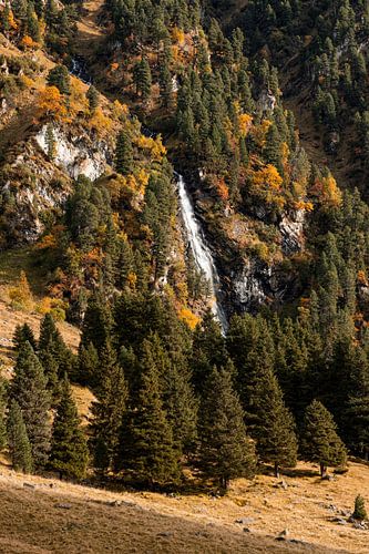 Waterval omring door bomen in de herfst