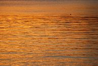 Zonsondergang op zee / Sunset at sea /  Coucher de soleil en mer van Margreet Frowijn thumbnail