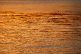 Sonnenuntergang auf See / Coucher de soleil en mer