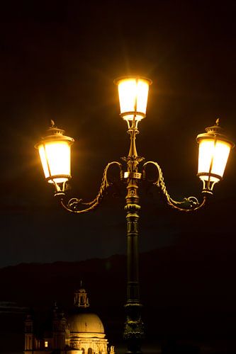 VENICE Santa Maria della Salute - nacht in Venetië