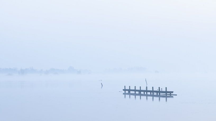 I've got the blues von R Smallenbroek