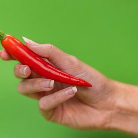 Red pepper, green background by FotoSynthese