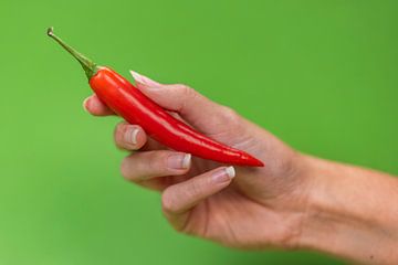 Rote Paprika, grüner Hintergrund