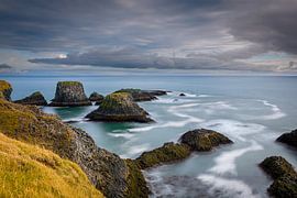Die Basaltinseln von Arnarstapi von Gerry van Roosmalen