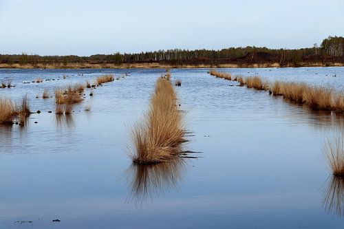 le marais à Aschen