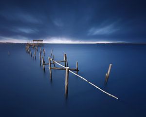 Carrasqueira azul, Juan Pablo de von 1x