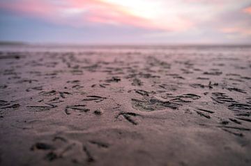 Hinterlasse deine Fußabdrücke im Sand von MdeJong Fotografie