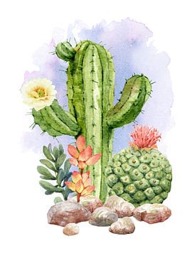 Cactussen met bloemen