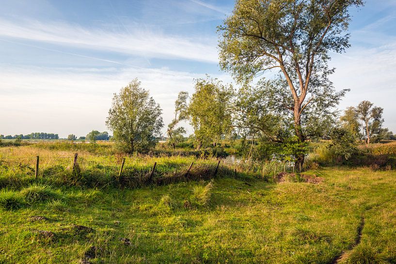 Alter Zaun in bunter holländischer Landschaft von Ruud Morijn