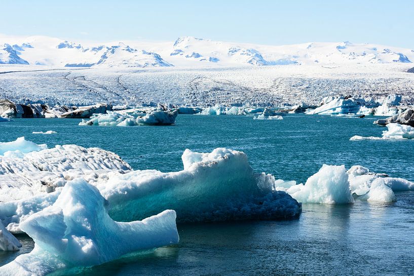 Gletschersee in Island von Ronne Vinkx